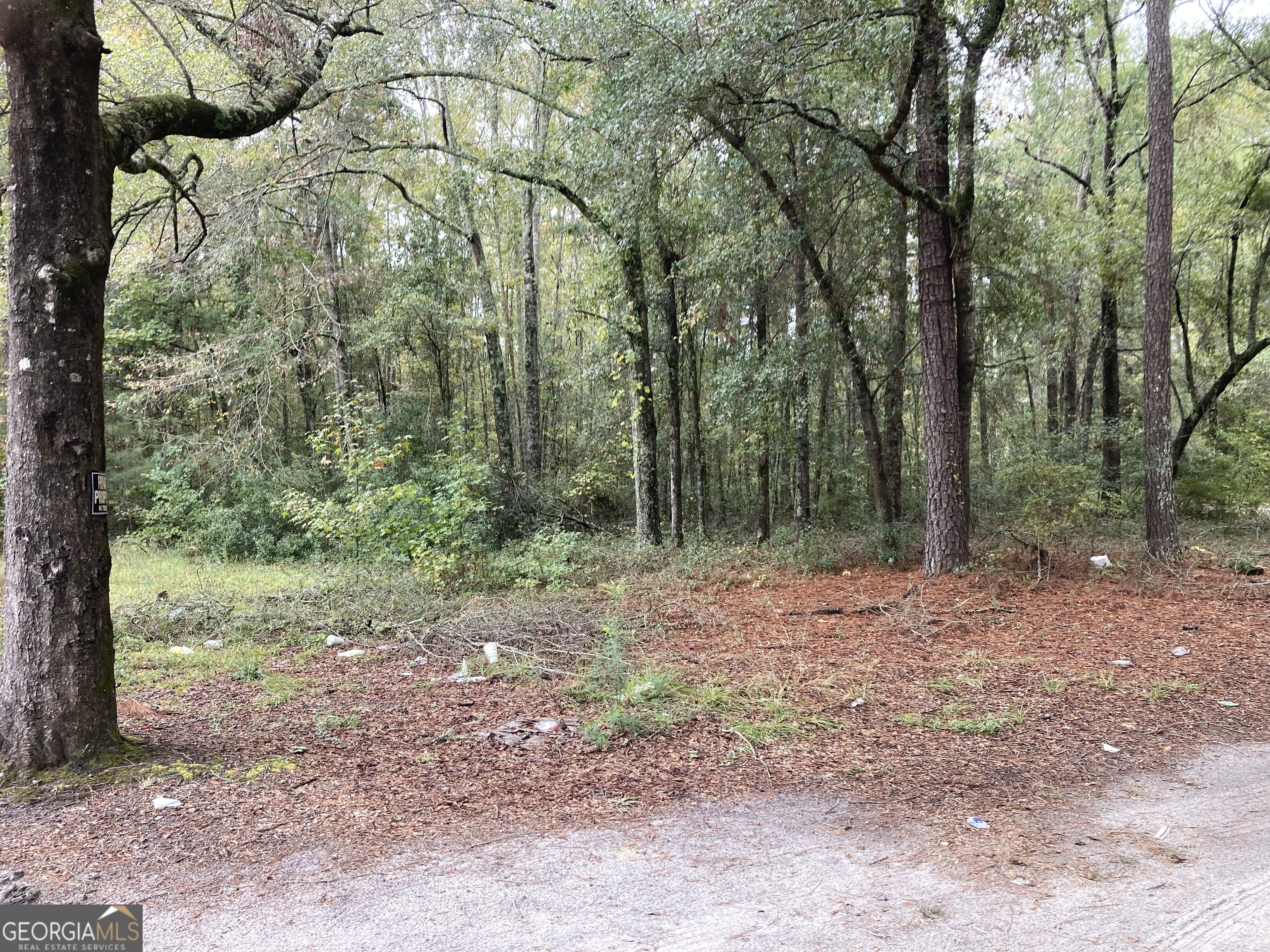 378 Lawton Road Sylvania, GA 30467 - Photo 3 of 4