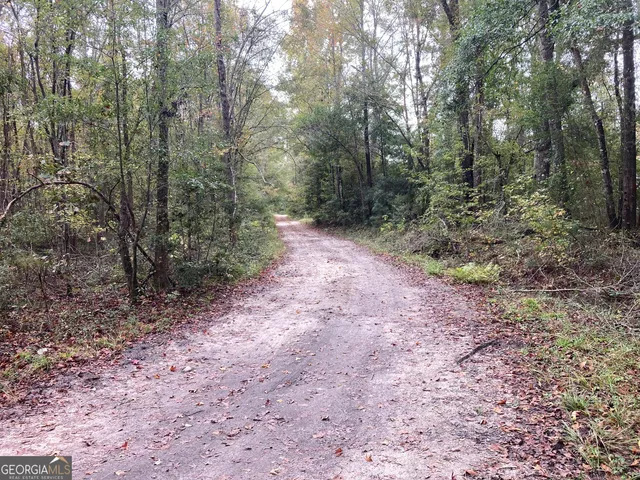 $125,000 | 378 Lawton Road, Sylvania, GA 30467