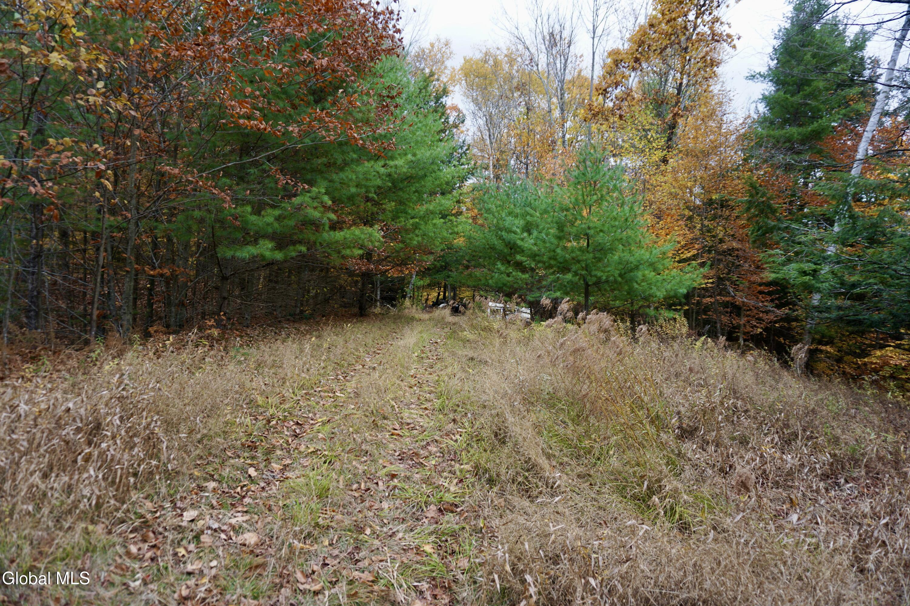 DSC05388