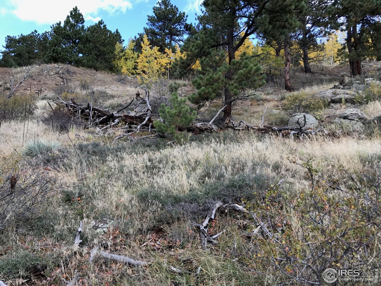0 Good Friday Road Boulder, CO 80302 - Photo 4 of 22