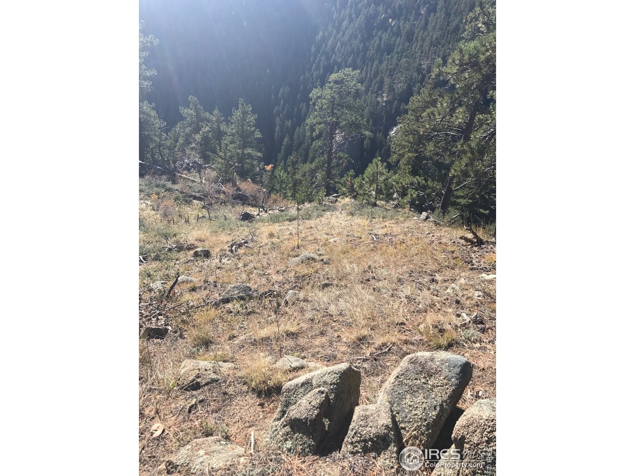 0 Good Friday Road Boulder, CO 80302 - Photo 5 of 22