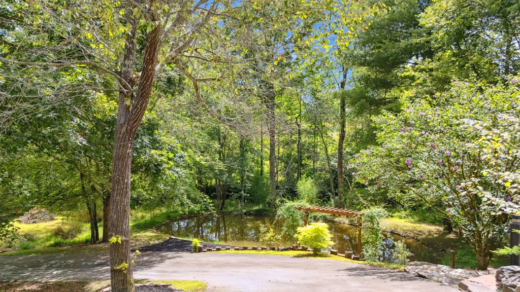 214 Hedden Road Murphy, NC 28906 - Photo 12 of 85