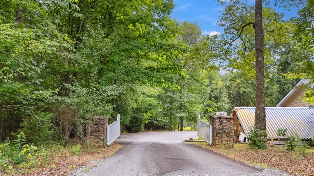 214 Hedden Road Murphy, NC 28906 - Photo 3 of 85