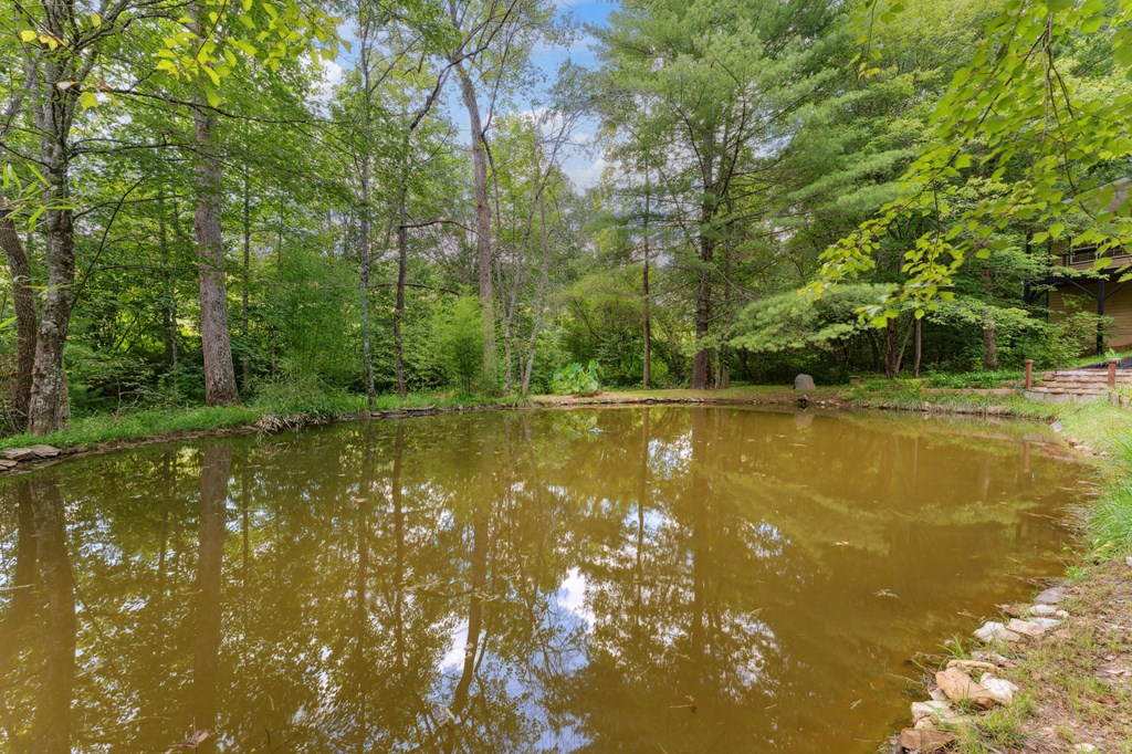 214 Hedden Road Murphy, NC 28906 - Photo 31 of 85
