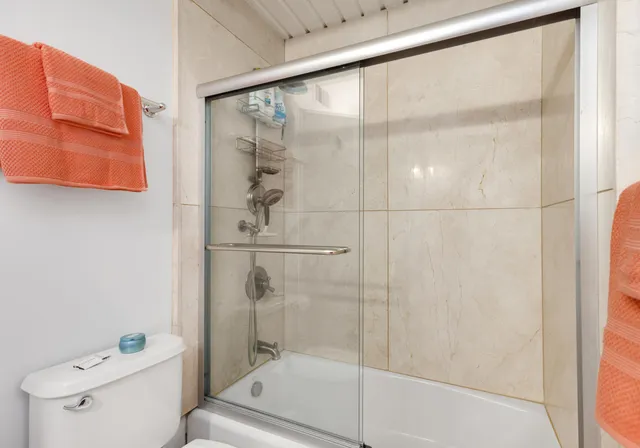 a bathroom with a shower and toilet