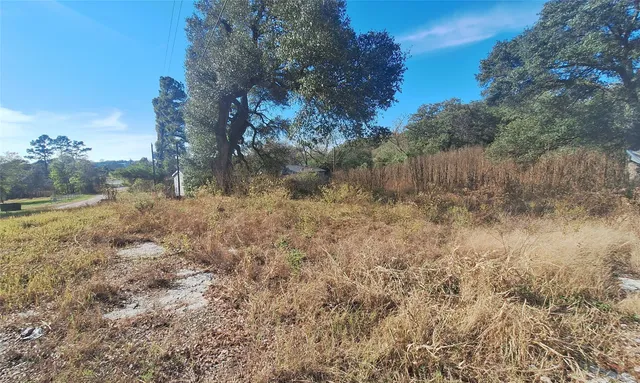 $23,000 | 109 Folz Street, Somerville, TX 77879