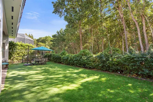 a view of a big yard with plants and large trees