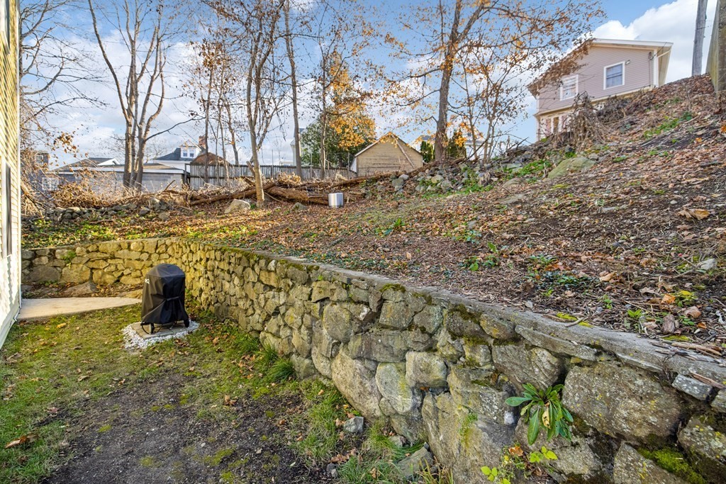 11 Spring Road, Unit B Arlington, MA 02476 - Photo 17 of 19 a fire hydrant in the middle of a field