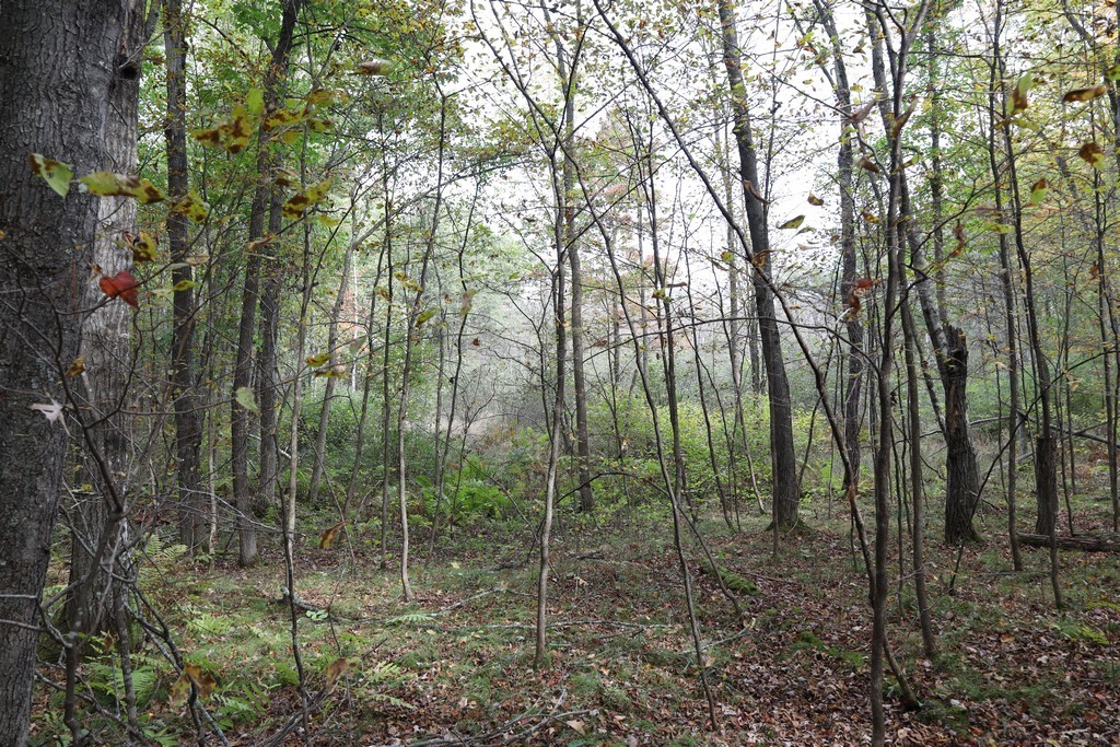 Xxx Normans Landing Road Webster, WI 54893 - Photo 12 of 16