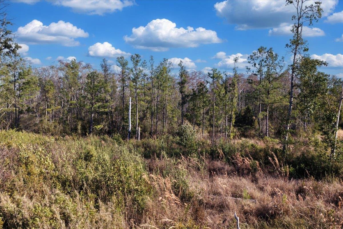 8412 Southwest Tower Road Madison, FL 32340 - Photo 13 of 32