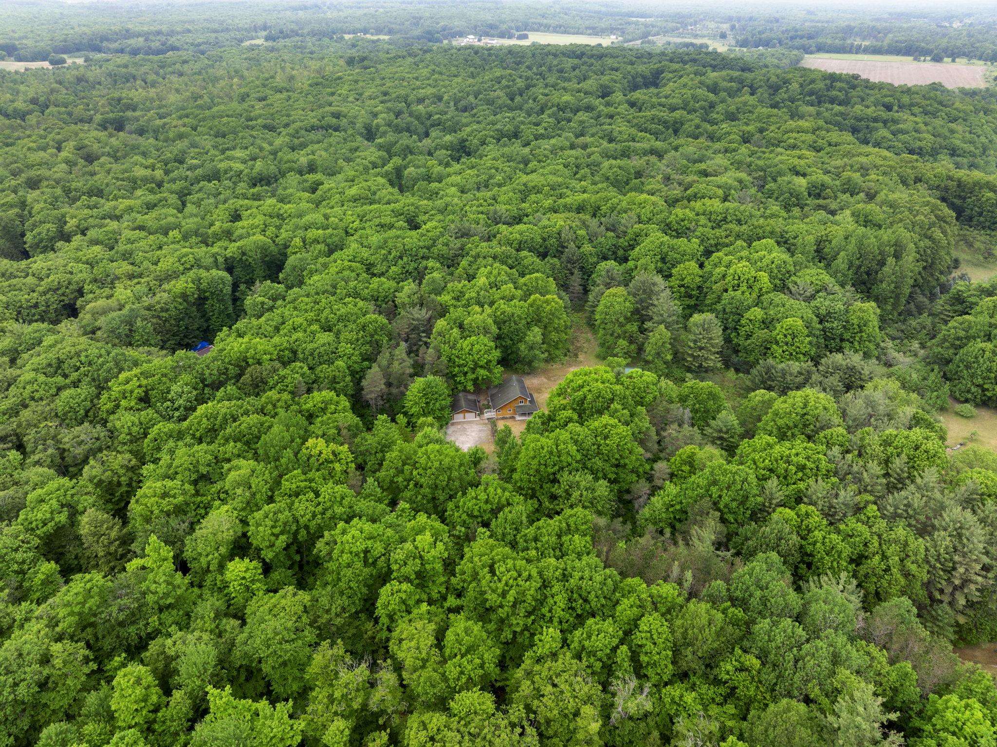 12270 Griffith Road Brethren, MI 49619 - Photo 63 of 67