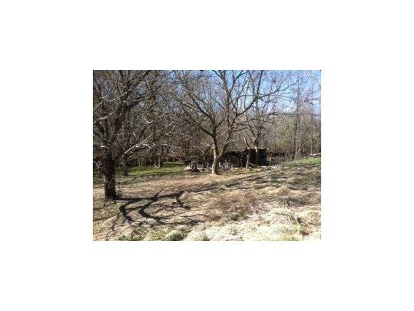 2849 Wormranch Road Haw River, NC 27258 - Photo 17 of 18 Gallery Image 17