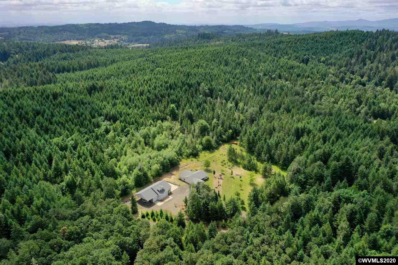 15235 Strong Road Dallas, OR 97338 - Photo 27 of 41