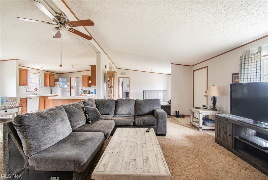 10135 Williams Road Diamond, OH 44412 - Photo 5 of 30 Living room featuring ornamental molding, a textured ceiling, light carpet, and ceiling fan