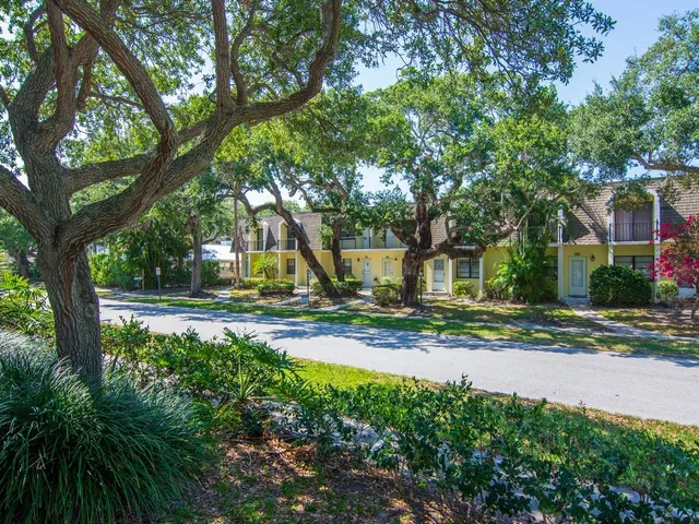 a view of street with tall trees