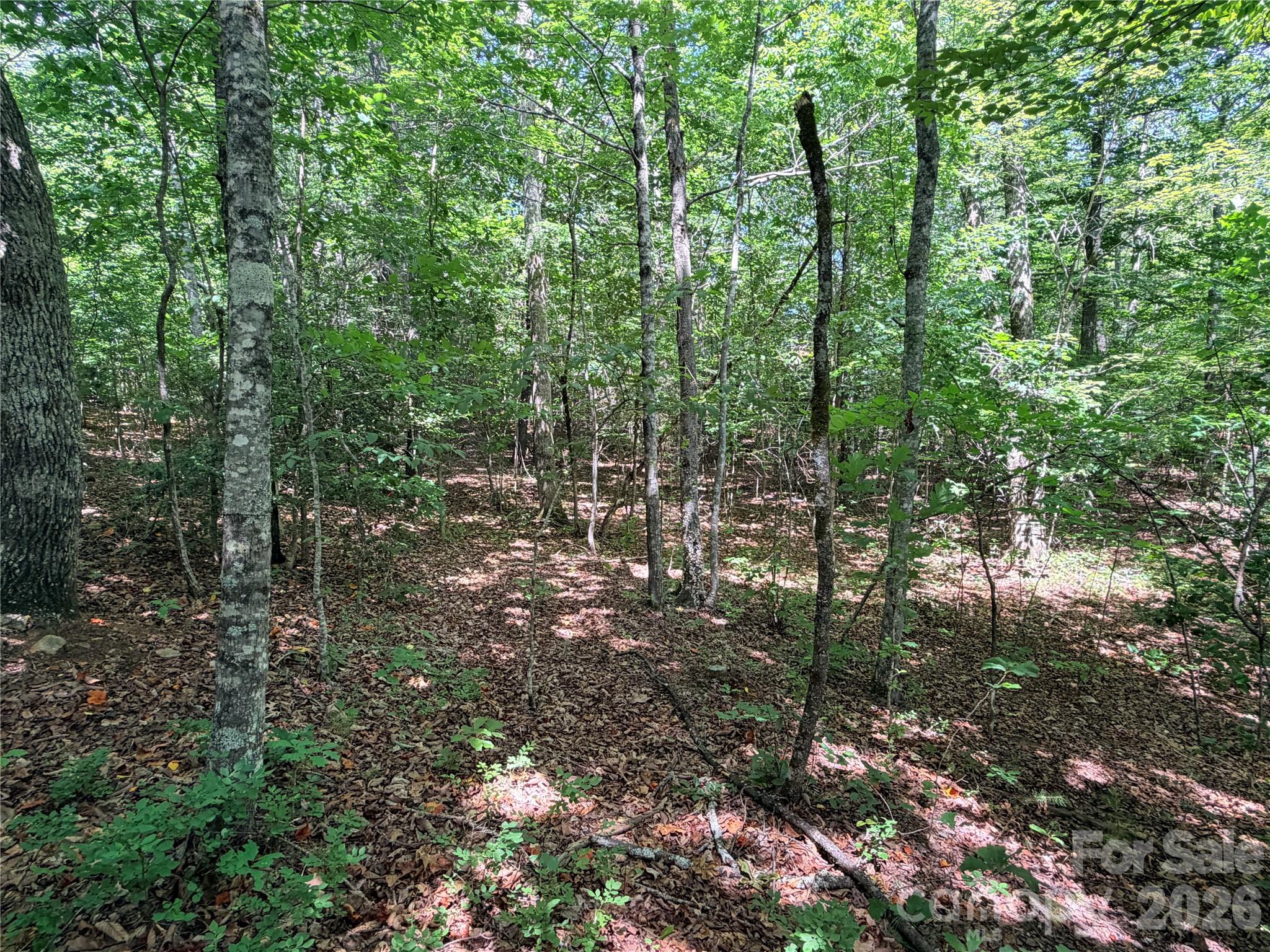 0 Grassy Knob Road, Unit 5 Mill Spring, NC 28756 - Photo 4 of 10