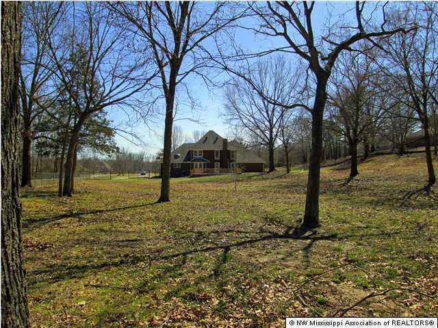 120 Bankston Road Nesbit, MS 38651 - Photo 18 of 21 Additional Photo