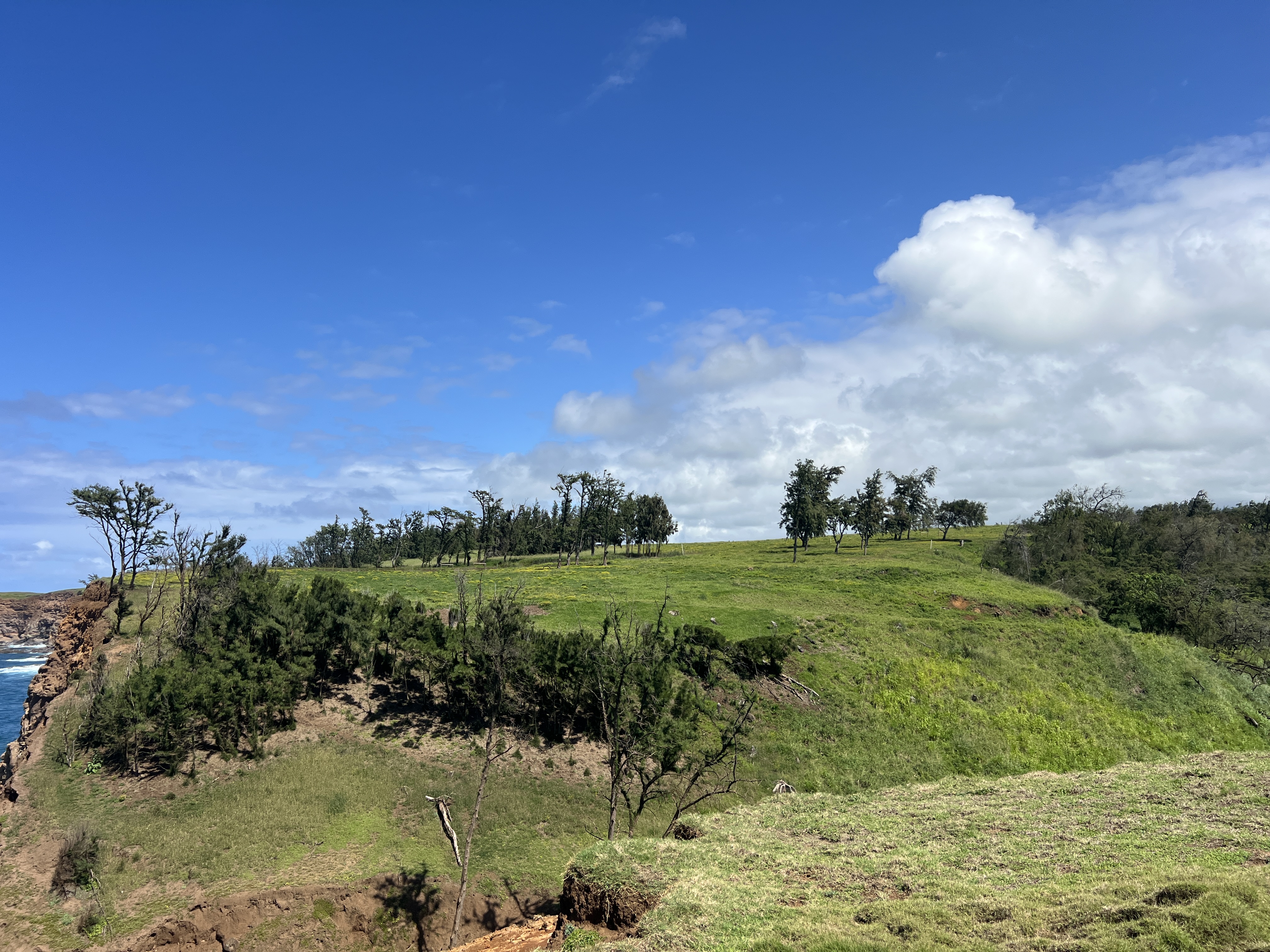 55-199 Hoea Road Hawi, HI 96719 - Photo 8 of 19