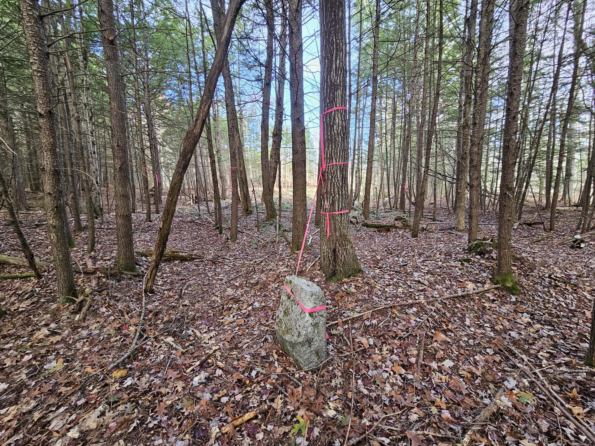 11 Old Alfred Road Waterboro, ME 04087 - Photo 31 of 38 20231103_115234