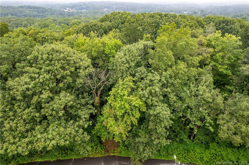 55 East Washington Road Plymouth, CT 06786 - Photo 2 of 10