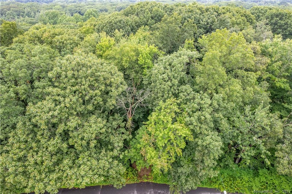 55 East Washington Road Plymouth, CT 06786 - Photo 3 of 10