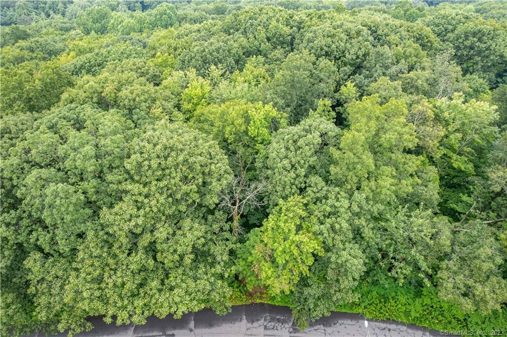 55 East Washington Road Plymouth, CT 06786 - Photo 4 of 10