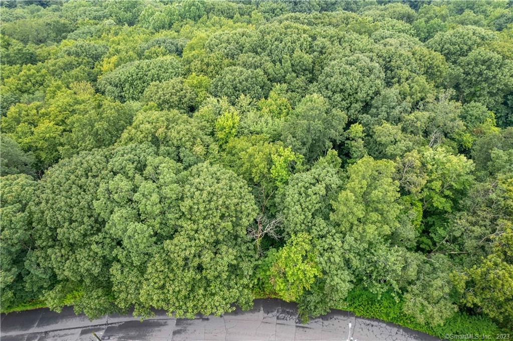 55 East Washington Road Plymouth, CT 06786 - Photo 5 of 10