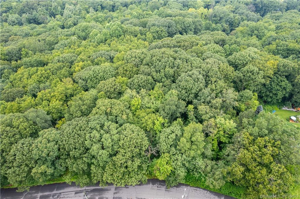 55 East Washington Road Plymouth, CT 06786 - Photo 6 of 10