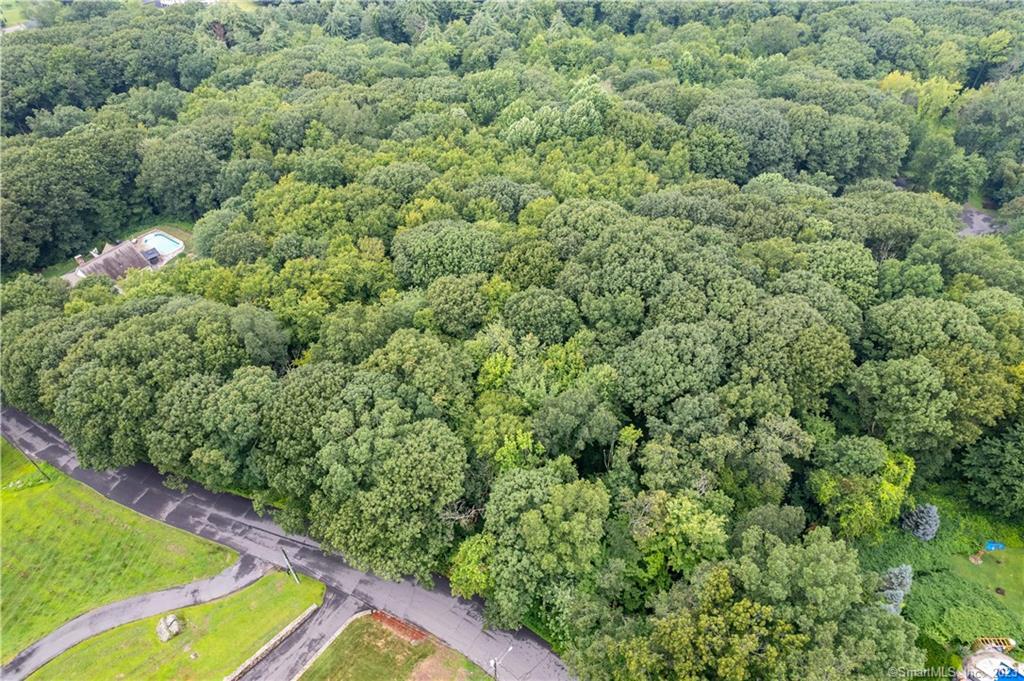 55 East Washington Road Plymouth, CT 06786 - Photo 8 of 10