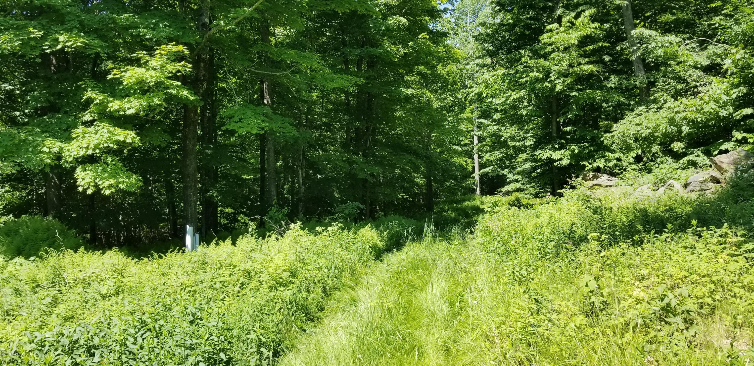 Lot 63 Old Woods Road Equinunk, PA 18417 - Photo 34 of 63