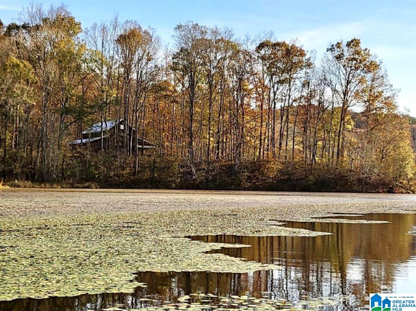 255 Royster Road South Ashland, AL 36251 - Photo 27 of 33