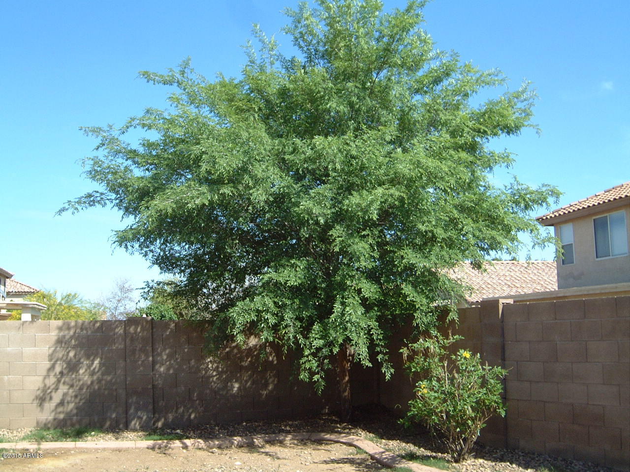 11945 West Bloomfield Road El Mirage, AZ 85335 - Photo 2 of 15 DSCF0068.JPG