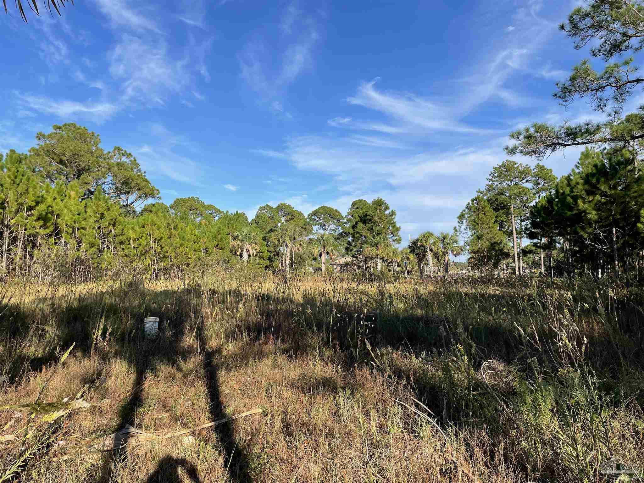 1059 Pearson Road Milton, FL 32583 - Photo 8 of 8 Gallery Image 8