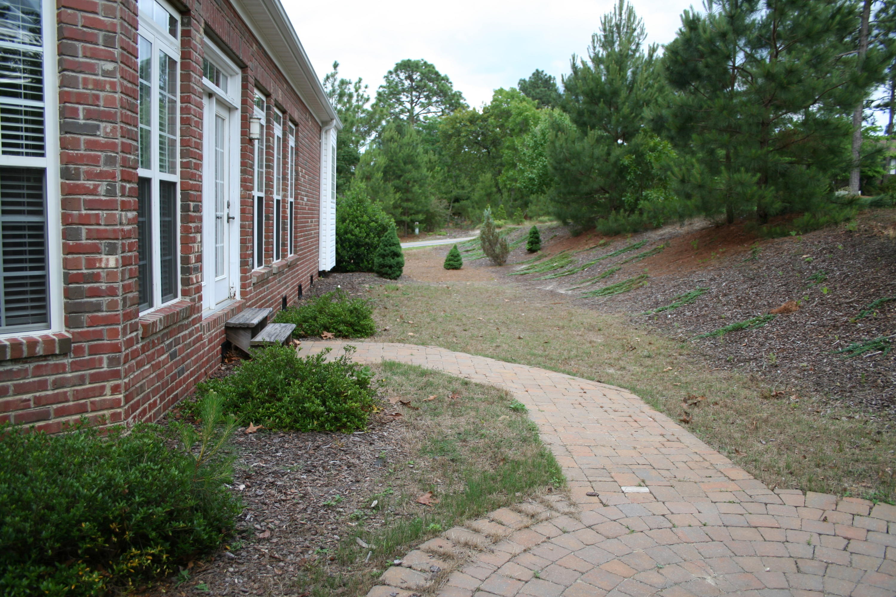965 Burning Tree Road Pinehurst, NC 28374 - Photo 19 of 20 BackYard