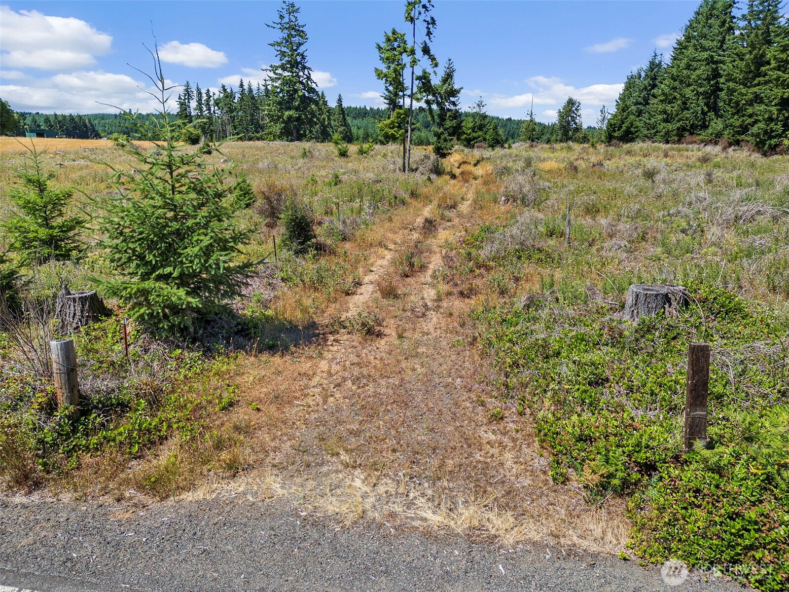 0 Frogner Road, Unit 3 Chehalis, WA 98532 - Photo 4 of 15 a view of a yard with plants and a building