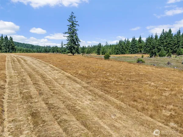 a view of an outdoor space and a yard