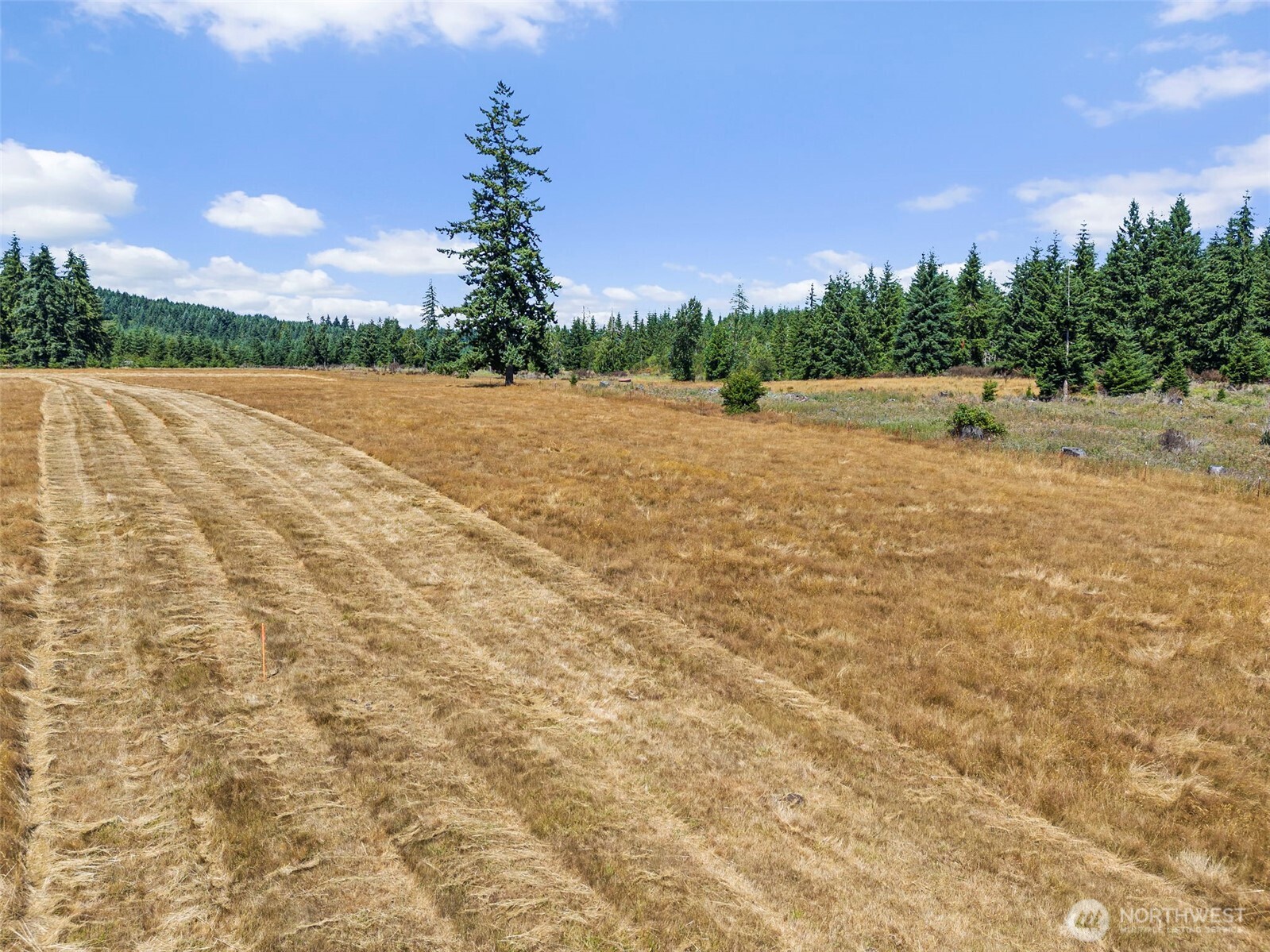 0 Frogner Road, Unit 3 Chehalis, WA 98532 - Photo 6 of 15 a view of an outdoor space and a yard