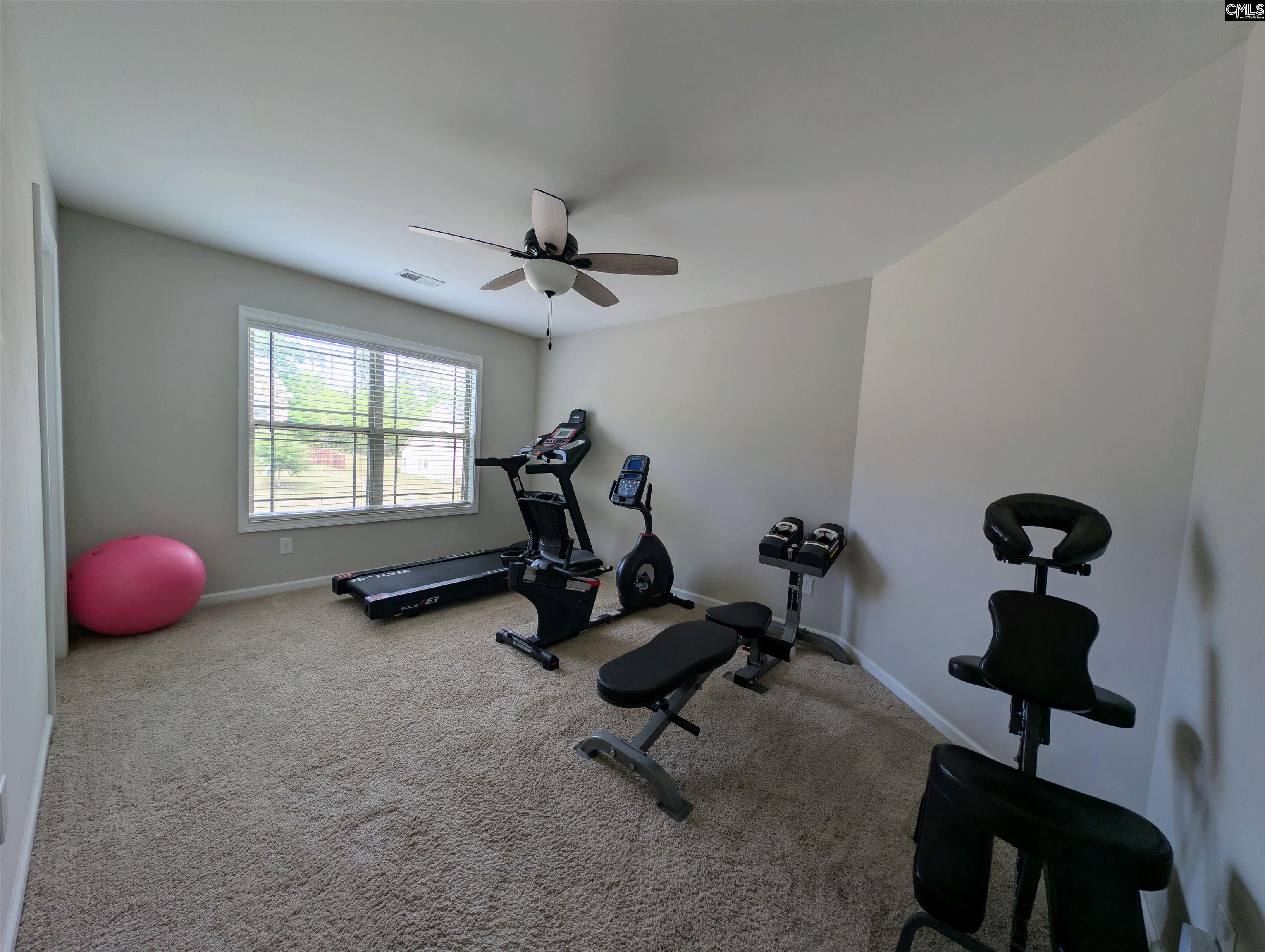 105 Tall Pines Road Chapin, SC 29036 - Photo 35 of 79