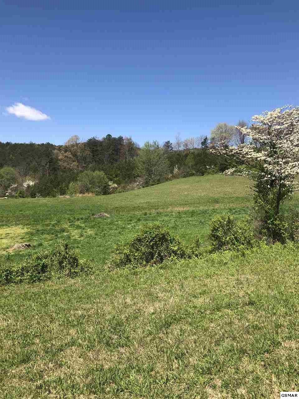 4255 Lower Powdermill Road, Unit POPARCEL07400 Sevierville, TN 37876 - Photo 2 of 2 Gallery Image 2