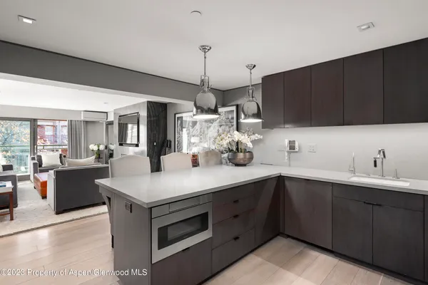 $50,000 | 555 East Durant Avenue, Unit 2N, Aspen, CO 81611