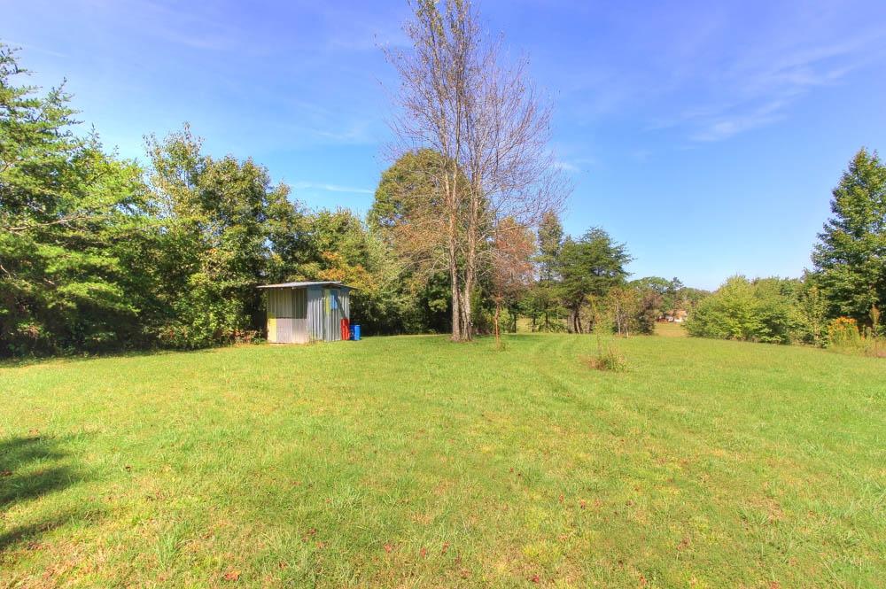 126 Coon Hollow Road Sunbright, TN 37872 - Photo 16 of 21 Back Yard w/shed