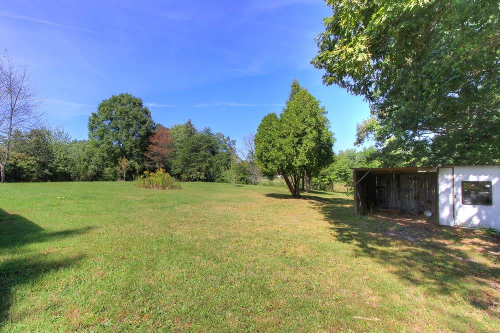 126 Coon Hollow Road Sunbright, TN 37872 - Photo 17 of 21 Back/side yard