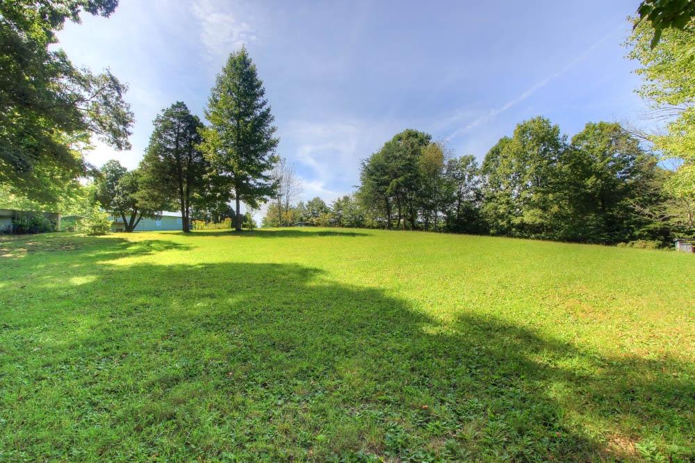 126 Coon Hollow Road Sunbright, TN 37872 - Photo 18 of 21 Back views