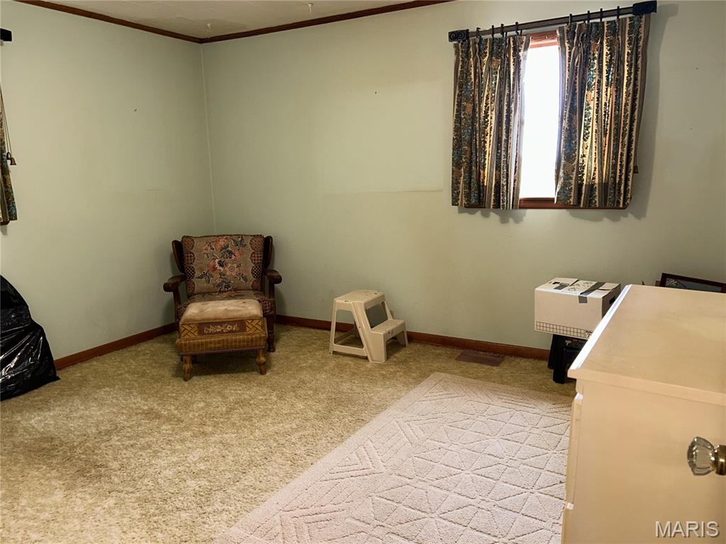 453 State 164 Highway East Steele, MO 63877 - Photo 22 of 24