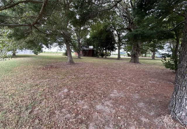 $250,000 | 453 State 164 Highway East, Steele, MO 63877