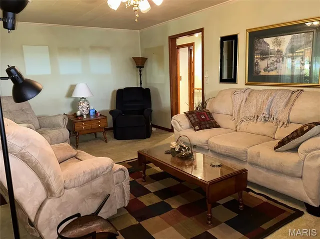 $250,000 | 453 State 164 Highway East, Steele, MO 63877