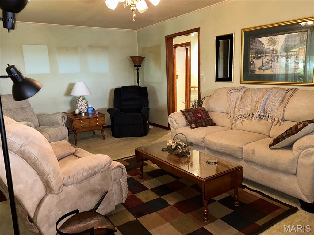 453 State 164 Highway East Steele, MO 63877 - Photo 10 of 24