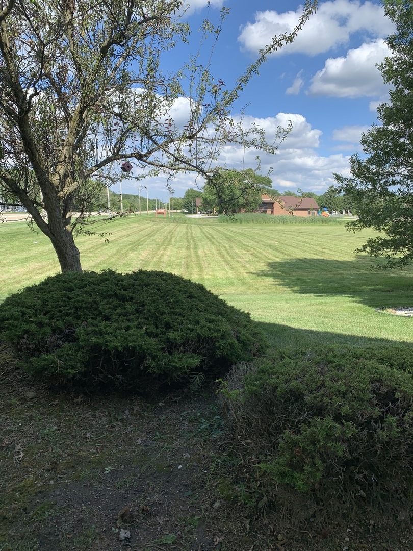 7 Red Barn Road, Unit 107 Matteson, IL 60443 - Photo 2 of 15 a view of a golf course with a lake