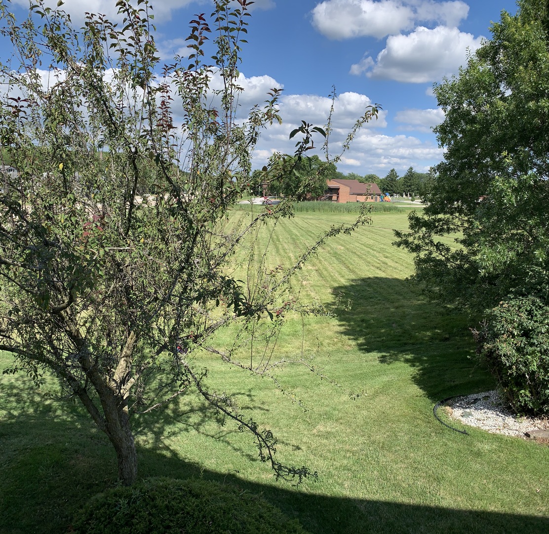 7 Red Barn Road, Unit 107 Matteson, IL 60443 - Photo 3 of 15 a view of a big yard with plants and large trees