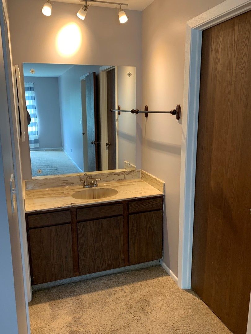 7 Red Barn Road, Unit 107 Matteson, IL 60443 - Photo 7 of 15 a bathroom with a sink and a mirror
